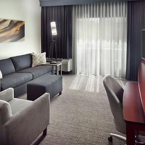 Double Suite Sofa Bed